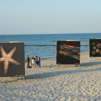 Fischland Darß - Zingst