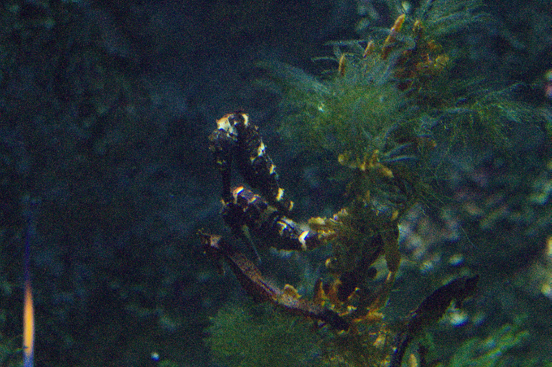 dsc02723