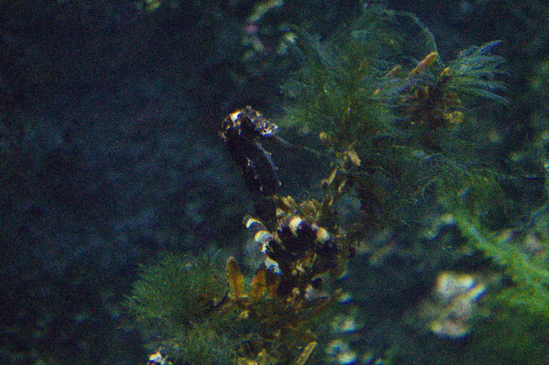 dsc02724