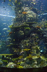 dsc02725