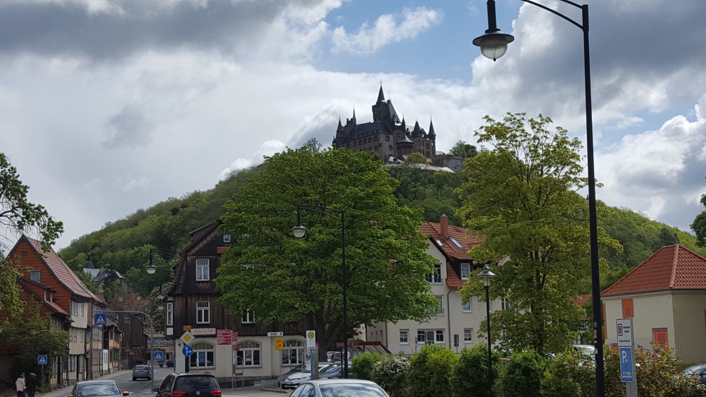 20160515_104726.jpg