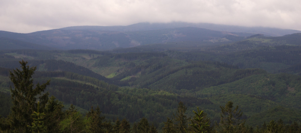 DSC04150.jpg
