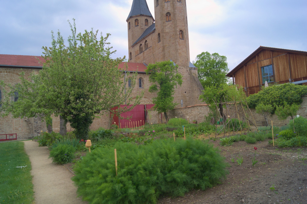 DSC04159.jpg