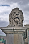 DSC04364.jpg