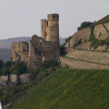 Rüdesheim