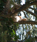 dsc03696