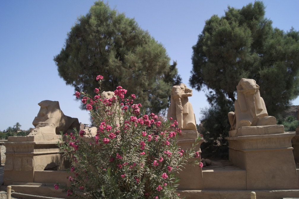 Karnak mit Luxor-Tempel