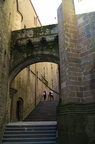 DSC06734.jpg