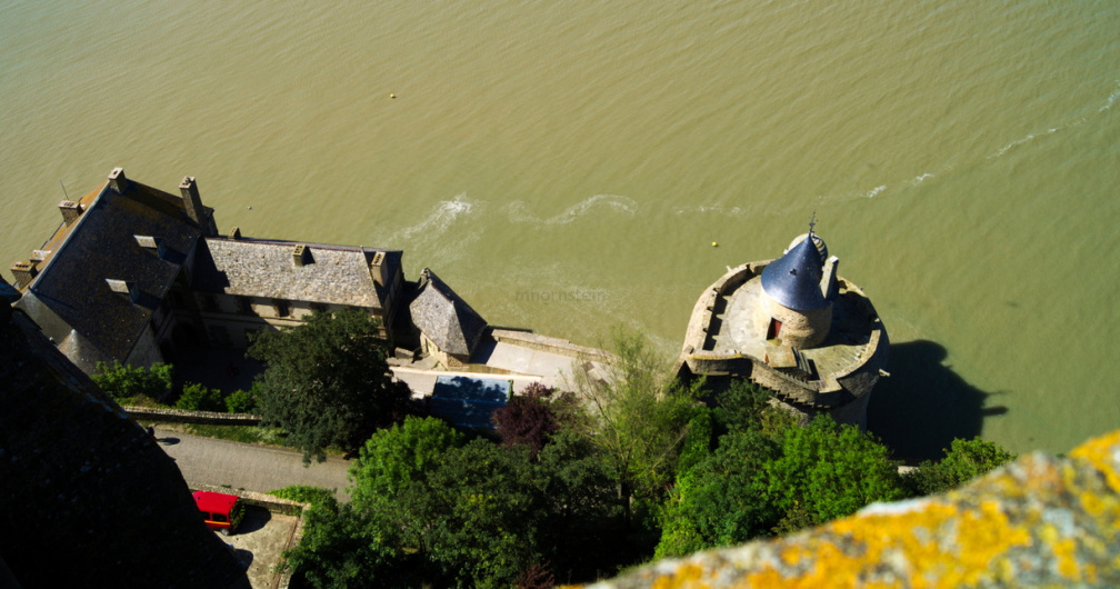 DSC06745.jpg