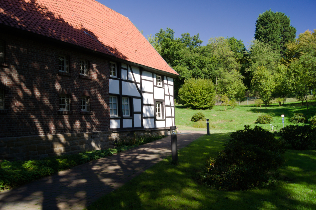 DSC07466