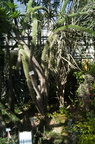DSC07488