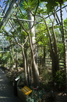 DSC07490