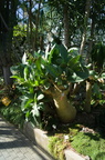 DSC07492