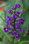 DSC07500
