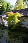 DSC07515