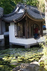 DSC07517