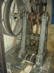 CIMG5113.JPG