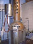 CIMG5115.JPG