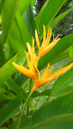 DSCN0434.JPG