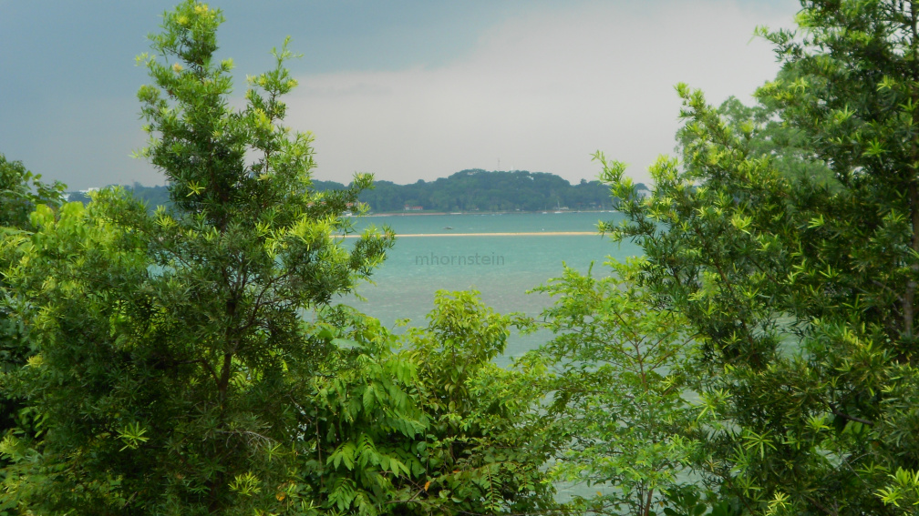 DSCN0454.JPG