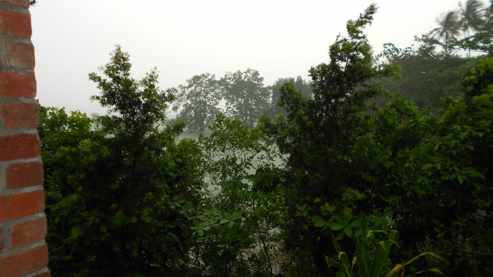 DSCN0459.JPG