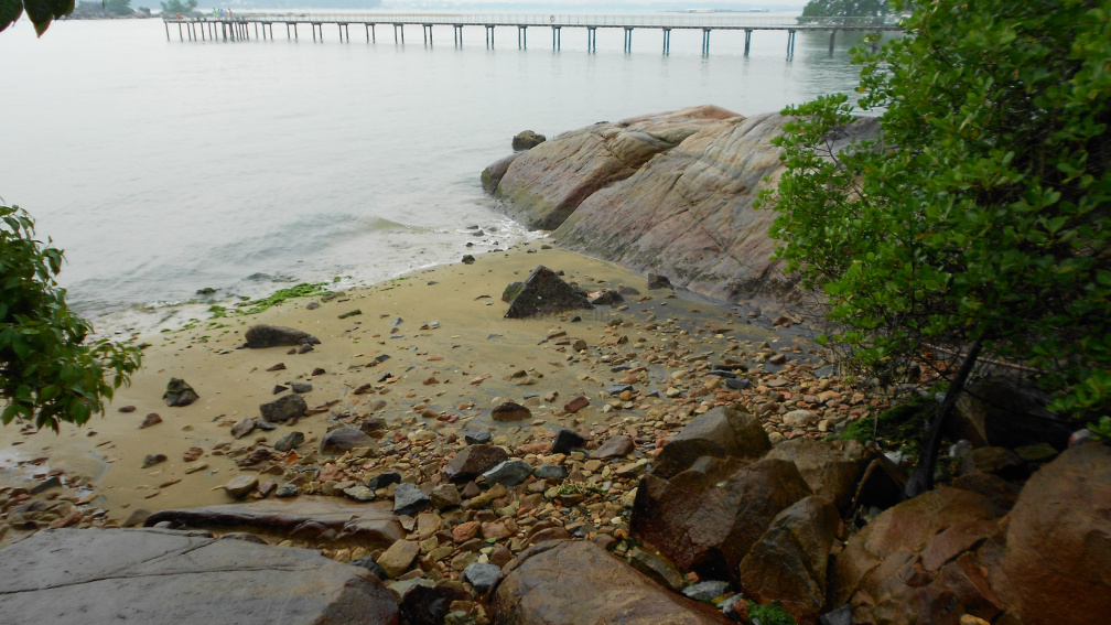 DSCN0462.JPG