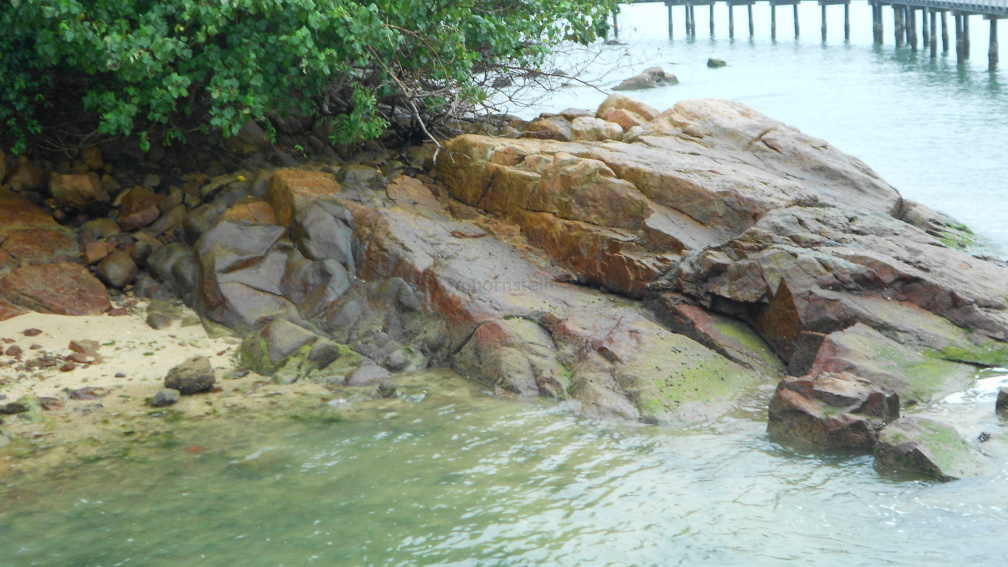 DSCN0463.JPG