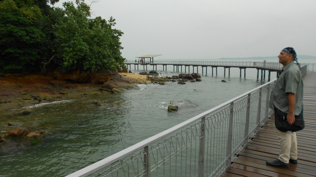 DSCN0464.JPG