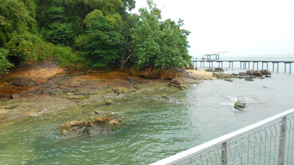 DSCN0465.JPG