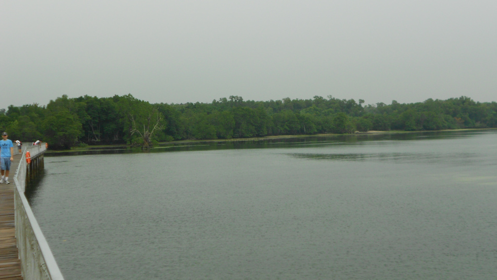 DSCN0466.JPG