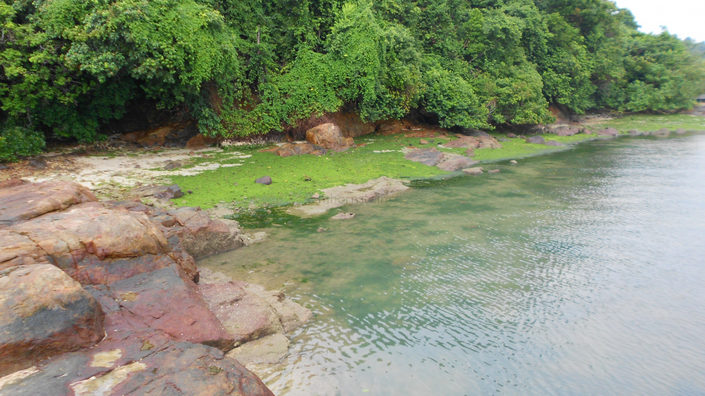 DSCN0467.JPG