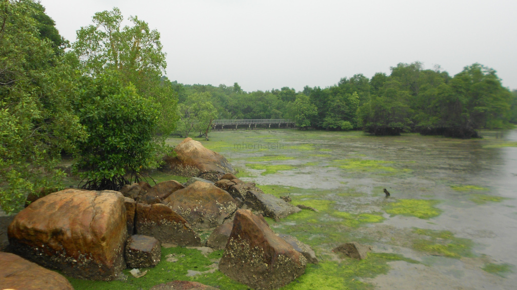 DSCN0468.JPG