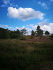IMG 20200829 142206