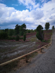 IMG 20200829 140950