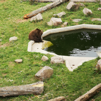 Schloß Hartenfels / Torgau