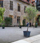 Haupthaus im evangelischen Augustiner Kloster in Erfurt